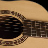 Washburn Agm 5 (N)
