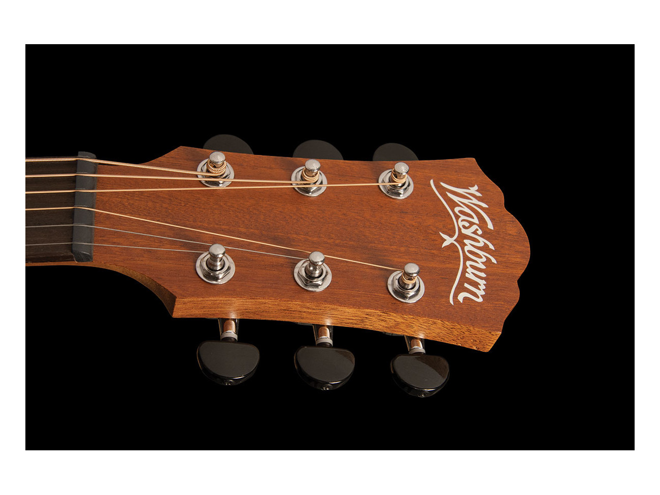Washburn Agm 5 (N)