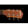 Washburn Agm 5 (N)
