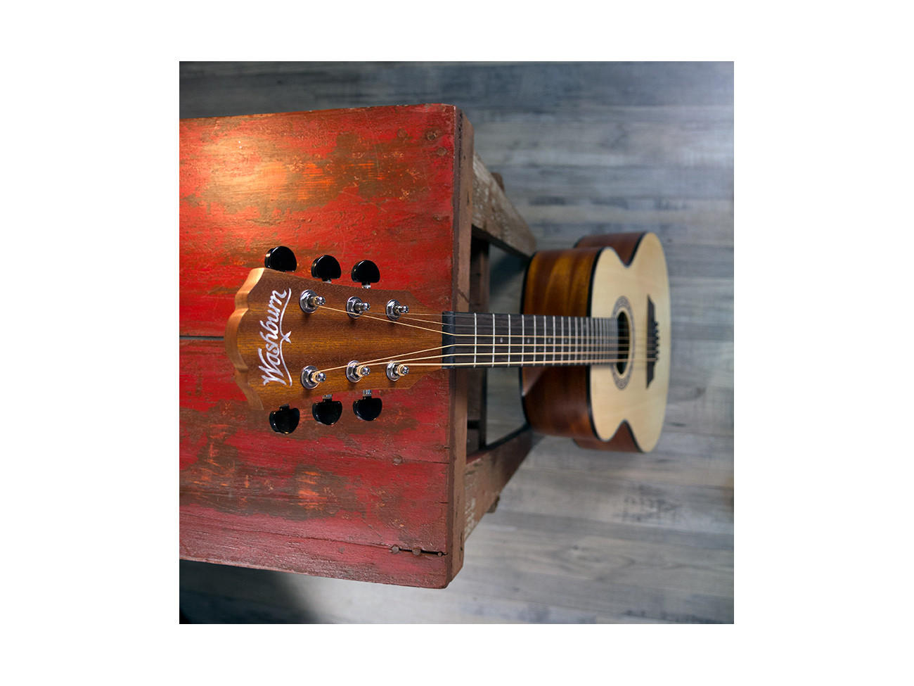 Washburn Agm 5 (N)