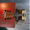 Washburn Agm 5 (N)