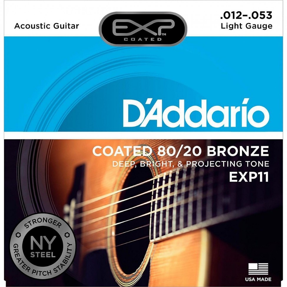 D'ADDARIO EXP11
