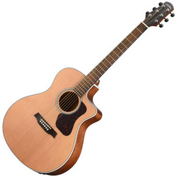 WALDEN G 770 CEW N - GITARA...