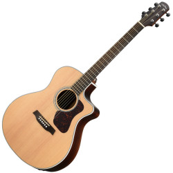 WALDEN G 800 CEW N - GITARA...