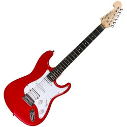 WASHBURN WS 300 H R -...