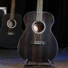 WASHBURN DF EFE - GITARA