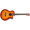 WASHBURN EA 15 ITB - GITARA