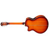 WASHBURN EA 15 ITB - GITARA