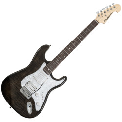 WASHBURN SD FTB - GITARA...