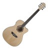 WASHBURN AG 40 CE FN - GITARA