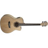 WASHBURN AG 40 CE FN - GITARA