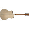 WASHBURN AG 40 CE FN - GITARA