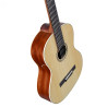 Alvarez Rc 26 (N)