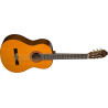 WASHBURN C 5 N - GITARA