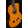 WASHBURN C 5 N - GITARA