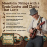 Dean Markley Dm 2404