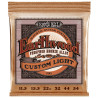 Ernie Ball Eb 2145