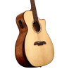ALVAREZ AG 60 CE AR N - GITARA AKUSTYCZNA