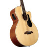 ALVAREZ AB 60 CE N - BAS AKUSTYCZNY