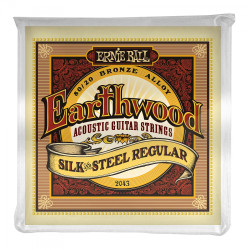 ERNIE BALL EB 2043 - STRUNY...