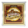 ERNIE BALL EB 2012 - STRUNY DO GITARY AKUSTYCZNEJ