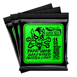 ERNIE BALL EB 3821 - STRUNY...