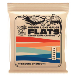 ERNIE BALL EB 2582 - STRUNY...