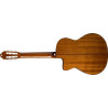 Washburn C 5 Ce (N)