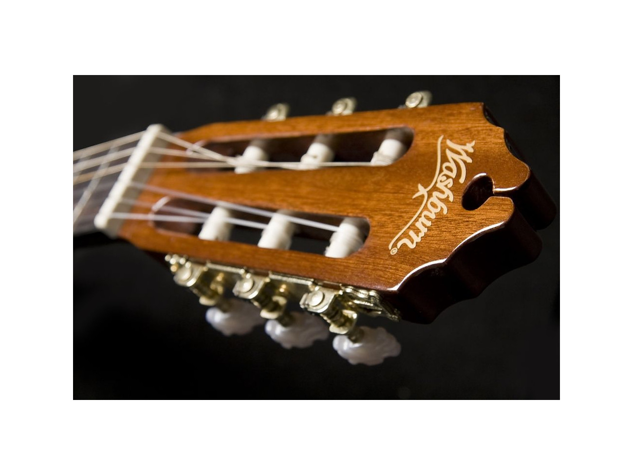 Washburn C 5 Ce (N)