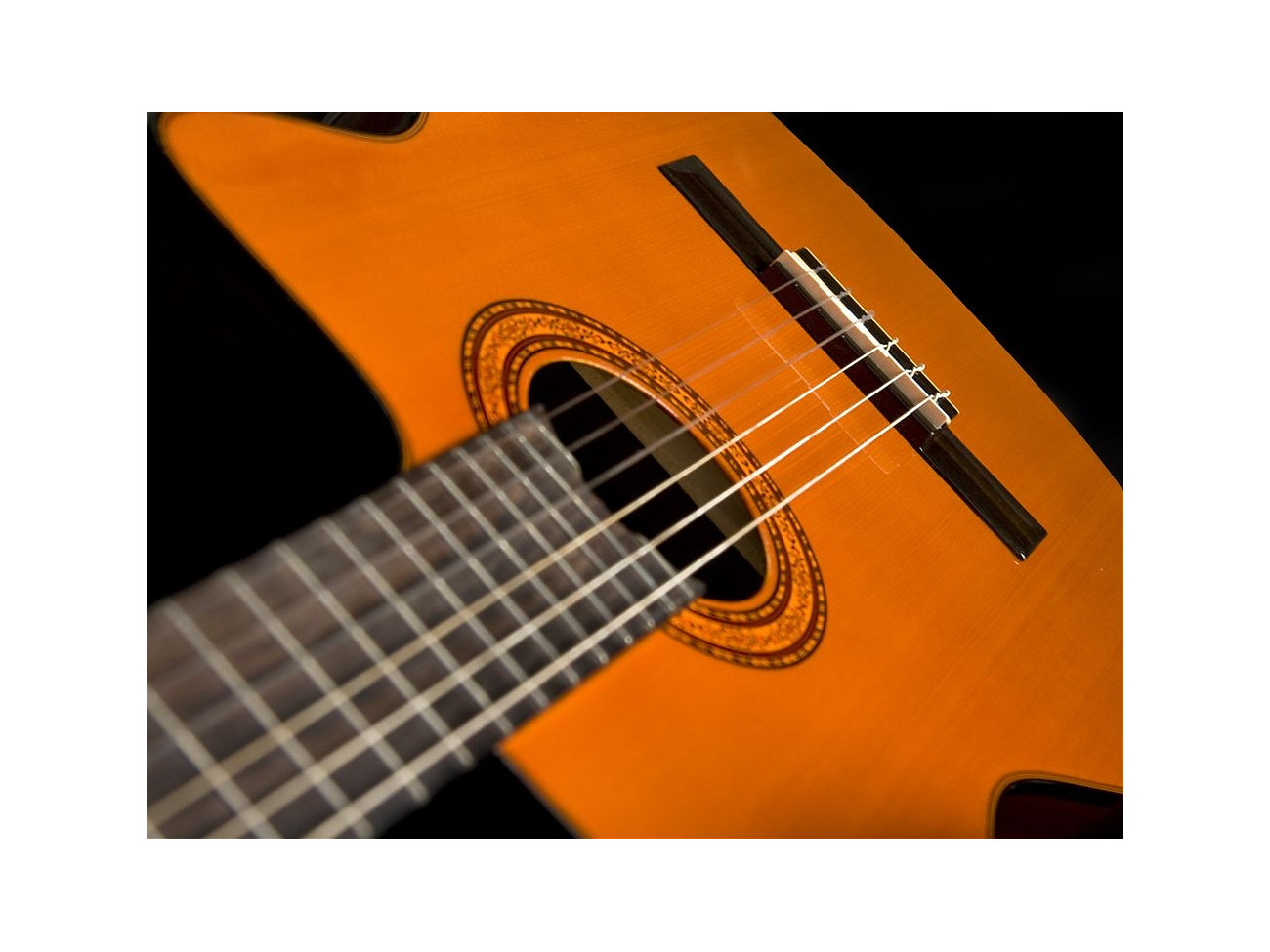 Washburn C 5 Ce (N)