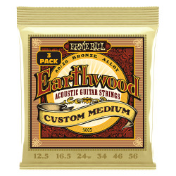 ERNIE BALL EB 3005 - STRUNY...