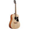 IBANEZ V50NJP-OPN -  GITARA AKUSTYCZNA Z ZESTAWEM AKCESORIÓW