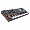 ARTURIA POLYBRUTE 6 - SYNTEZATOR ANALOGOWY