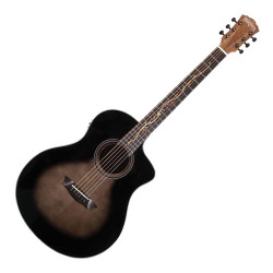 WASHBURN BTS 9 VCE CH -...