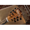 WASHBURN BTS 9 VCE CH - GITARA ELEKTROAKUSTYCZNA