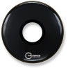 Aquarian Rpt 20 B (Bk)