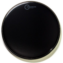 Aquarian Ref 10