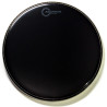 Aquarian Ref 10