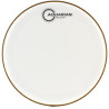Aquarian Ref 10 (Wh)