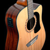 Washburn Ad 5 Ce (N) Pack