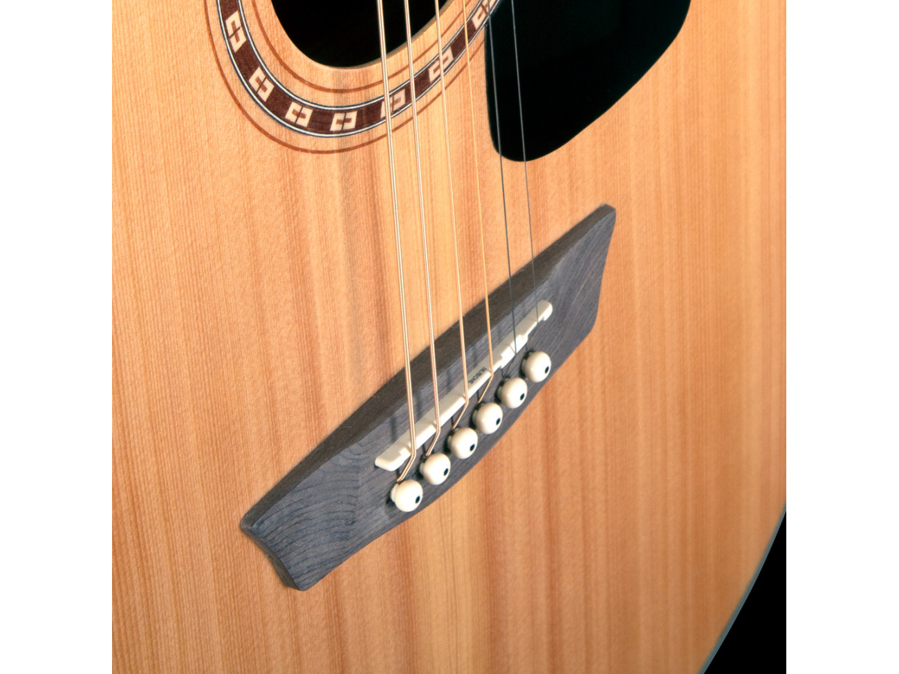 Washburn Ad 5 Ce (N) Pack