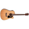 Washburn Ad 5 Ce (N) Pack