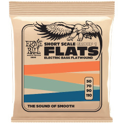 Ernie Ball Eb 2800