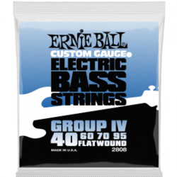 Ernie Ball Eb 2808