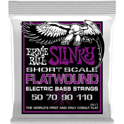 Ernie Ball Eb 2817