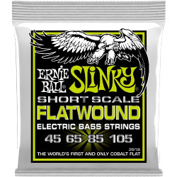 Ernie Ball Eb 2818