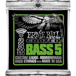 Ernie Ball Eb 3836