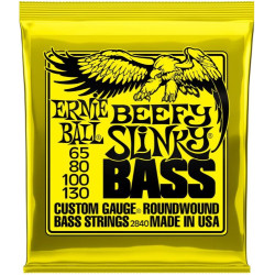 Ernie Ball Eb 2840