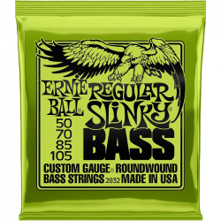 Ernie Ball Eb 2832