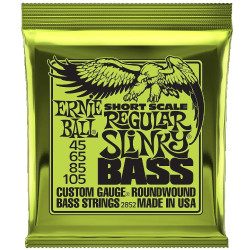 Ernie Ball Eb 2852